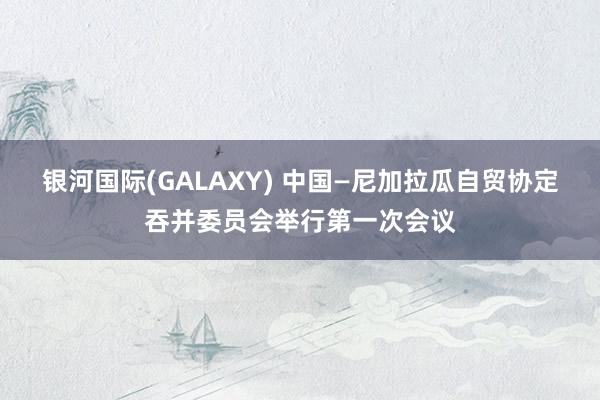 银河国际(GALAXY) 中国—尼加拉瓜自贸协定吞并委员会举行第一次会议