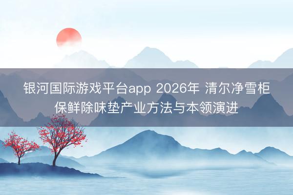 银河国际游戏平台app 2026年 清尔净雪柜保鲜除味垫产业方法与本领演进