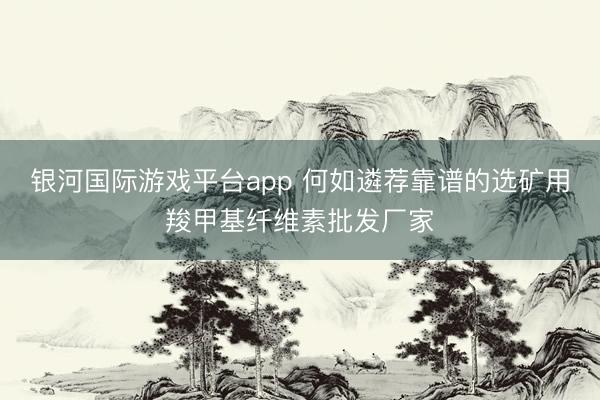 银河国际游戏平台app 何如遴荐靠谱的选矿用羧甲基纤维素批发厂家