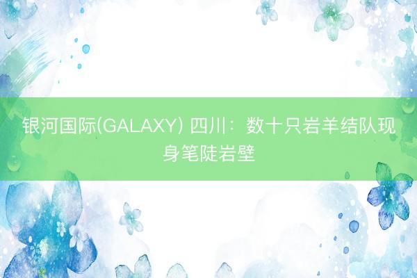 银河国际(GALAXY) 四川：数十只岩羊结队现身笔陡岩壁