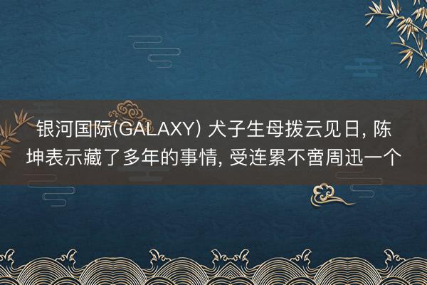 银河国际(GALAXY) 犬子生母拨云见日， 陈坤表示藏了多年的事情， 受连累不啻周迅一个