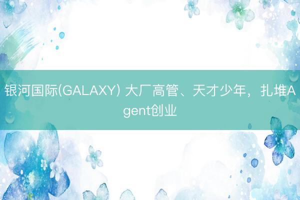 银河国际(GALAXY) 大厂高管、天才少年，扎堆Agent创业