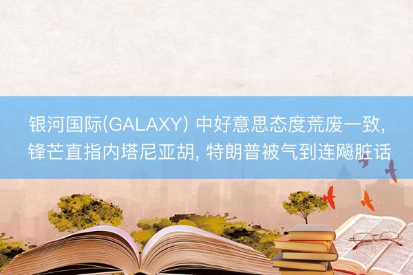 银河国际(GALAXY) 中好意思态度荒废一致, 锋芒直指内塔尼亚胡, 特朗普被气到