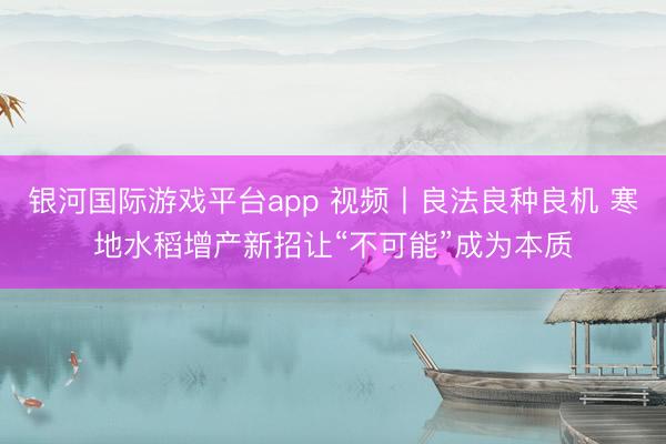 银河国际游戏平台app 视频丨良法良种良机 寒地水稻增产新招让“不可能”成为本质