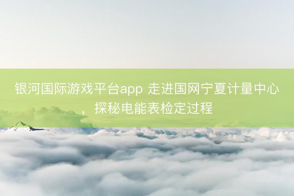 银河国际游戏平台app 走进国网宁夏计量中心,探秘电能表检定过程